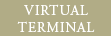 virtual terminal